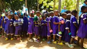 Tree planting
