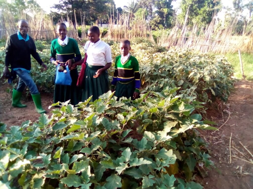 PORRIDGE AND DESKS FOR PRIMARY SCHOOL PUPILS