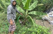 Food Security for 150 Poor Women