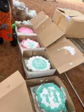 Cakes
