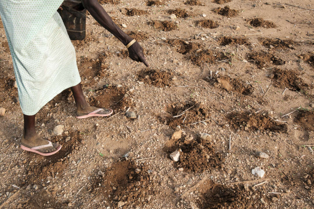 Help Mercy Corps Support Those in Sudan