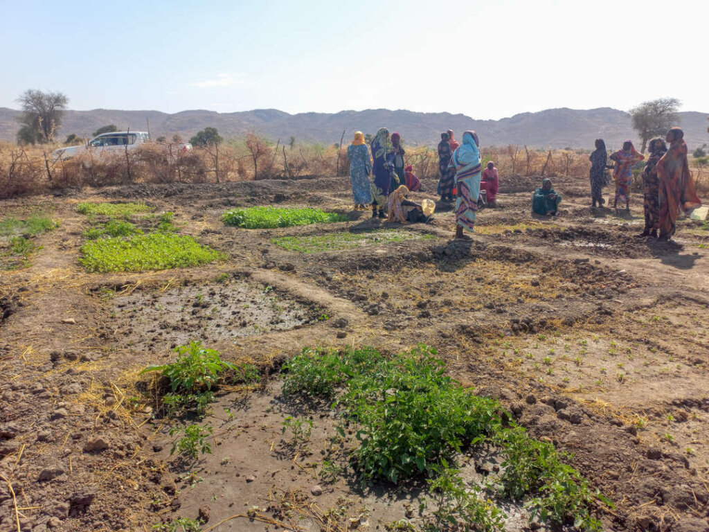 Help Mercy Corps Support Those in Sudan