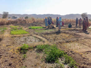 Smallholder farmers in field
