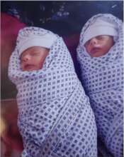 BLiSS Twins