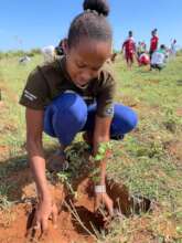 NiA planting trees for future generations.