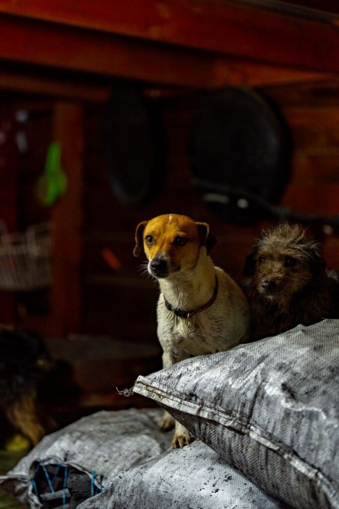 Chile Flood Crisis: Your Help, Their Hope