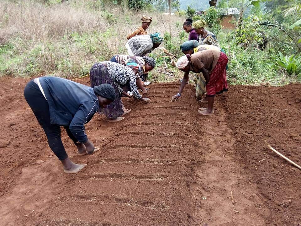 Sponsor A Garden For A Poor household in Cameroon.