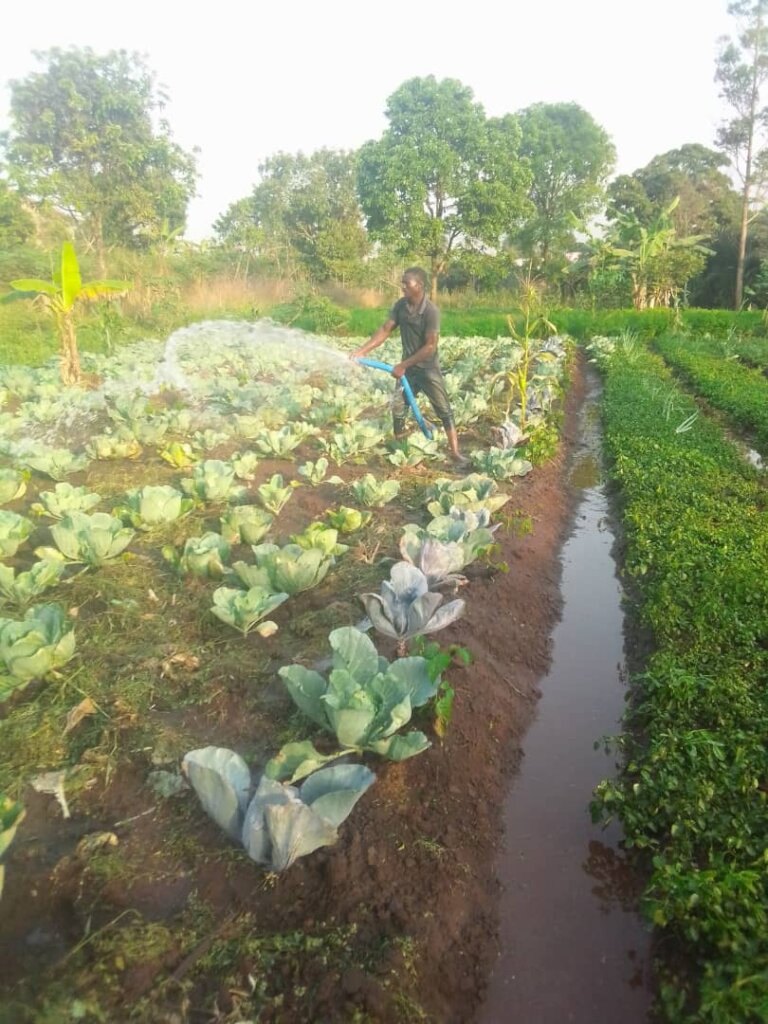 Sponsor A Garden For A Poor household in Cameroon.
