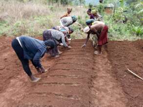 Seed Nursery bed Preparation