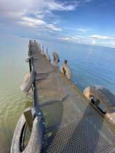 Docking pier repaired