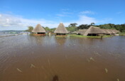 Support to solve the effect of flooding at Ngamba