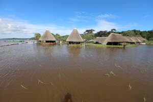 Support to solve the effect of flooding at Ngamba