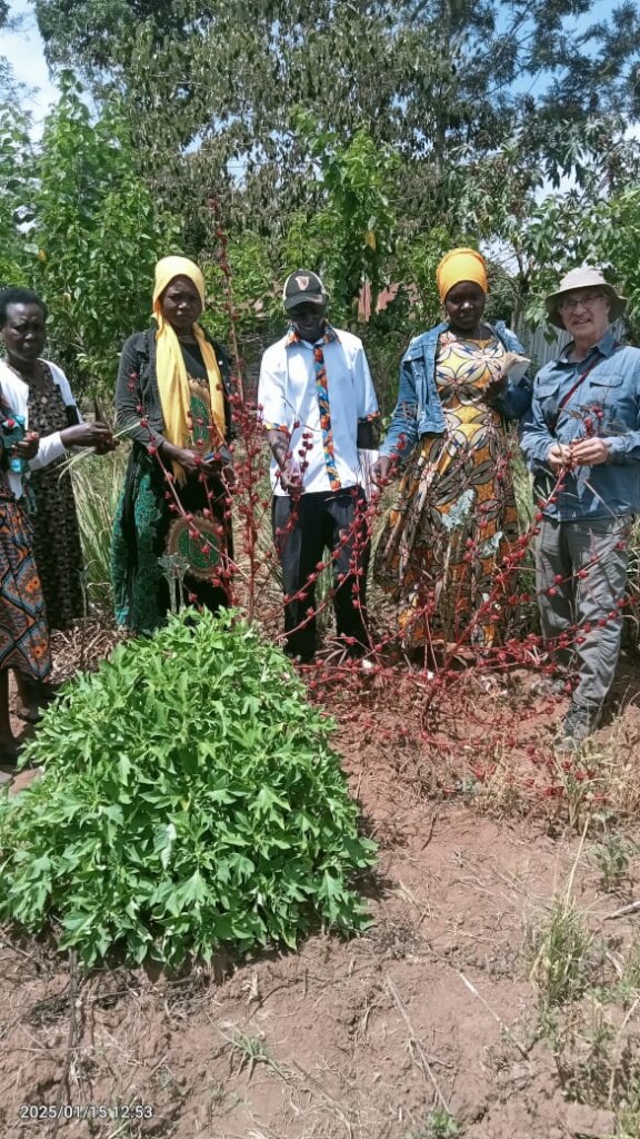 Permaculture Workshop - Trees & Fertilizers