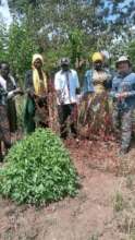 Permaculture Workshop - Trees & Fertilizers