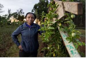 Brenda at Neema's permaculture farm