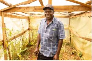 Enoch (Neema's farm manager) in the green house