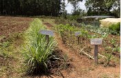 Teach permaculture& Fight Food Insecurity in Kenya