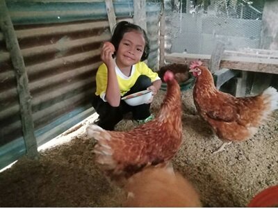 Demonstration on chicken and hens raising