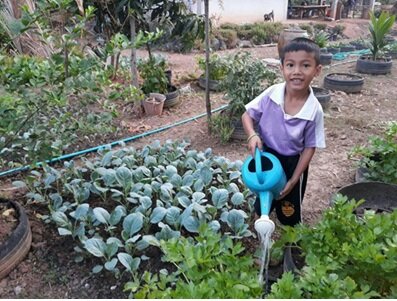 Demonstration on vegetables growing