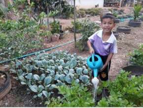 Demonstration on vegetables growing