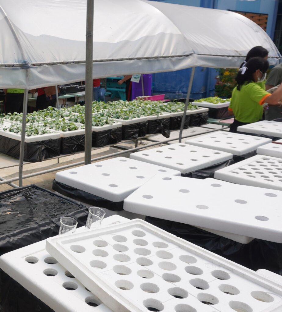 The ScienceBased School Farming in rural areas GlobalGiving