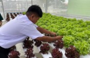 The Science-Based School Farming in rural areas
