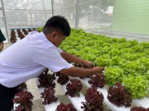 The Science-Based School Farming in rural areas