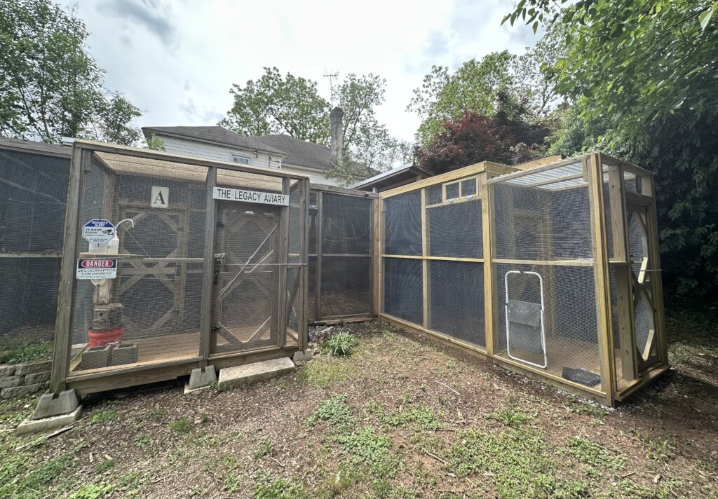 Our Aviaries