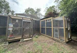 Our Aviaries