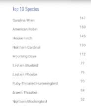 2025 Top 10 Species
