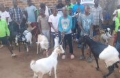 Kids for Kids: Empowering Youth with Goat Farming