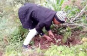 Plant 20000 Trees to Restore Saadani Nature Forest