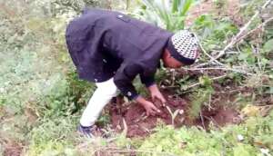 Plant 20000 Trees to Restore Saadani Nature Forest