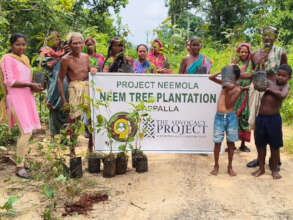 JRP plants Neem saplings to fight climate change