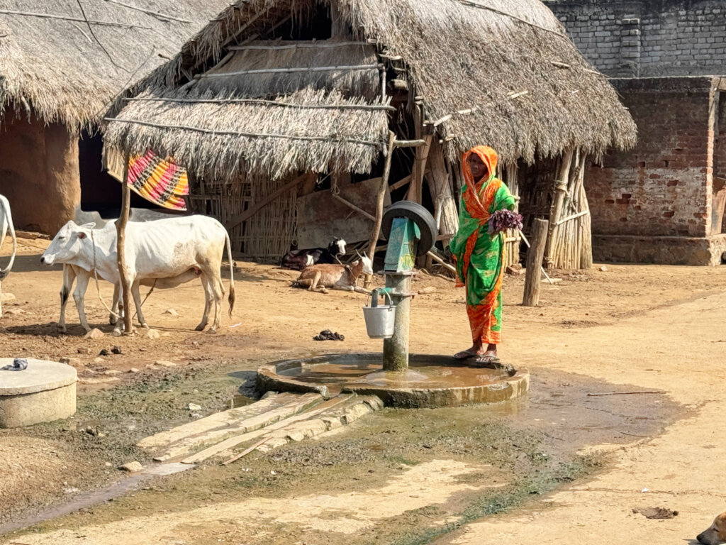 Help Tribal Women Make Neemola and Fight Malaria