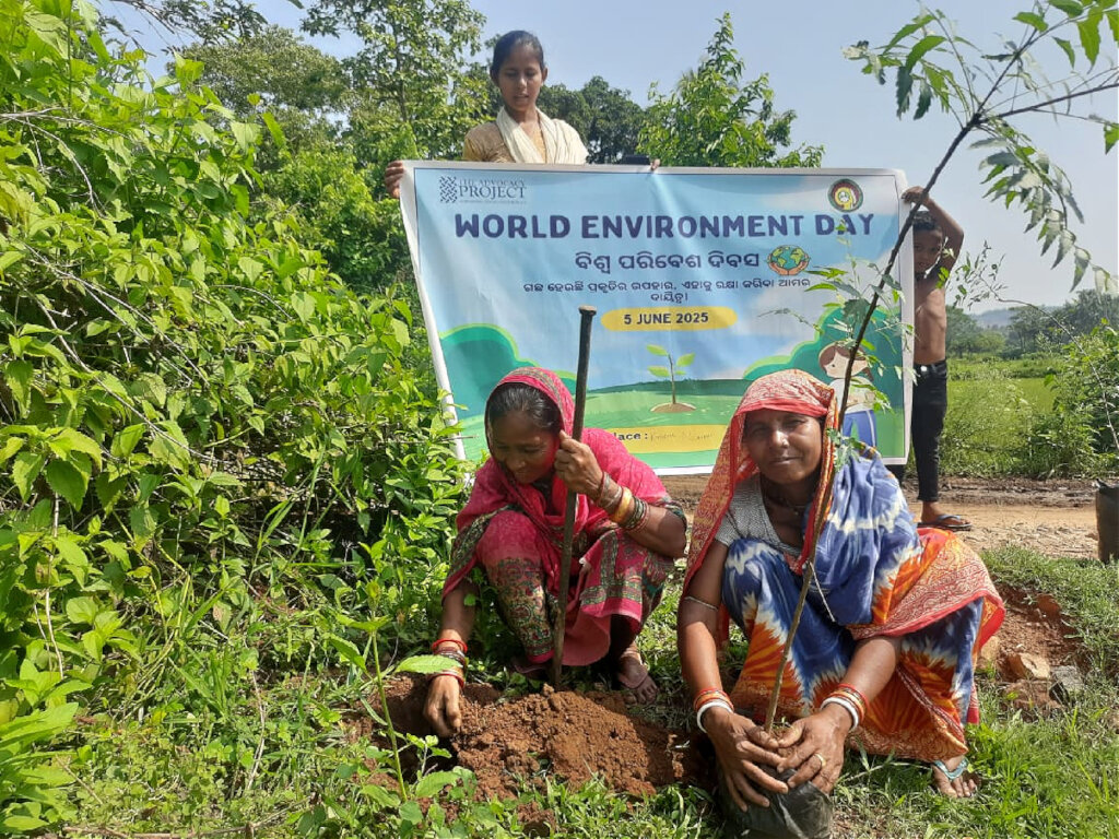 Help Tribal Women Make Neemola and Fight Malaria