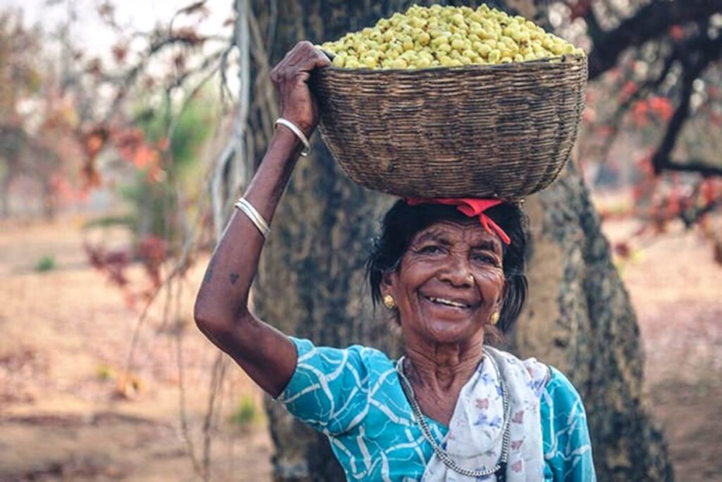 Help 50 Tribal Women Make Neemola to Fight Malaria