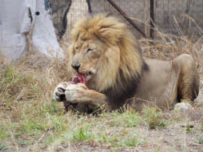 Dinner time!