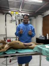 Successful Spay surgery