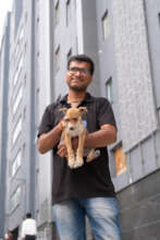 Mindspace IT park dog feeding and sterilization