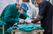Spay Neuter India's 5000 Stray Dogs and Cats