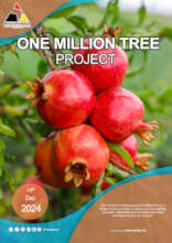 Promotion material for One million Tree Project