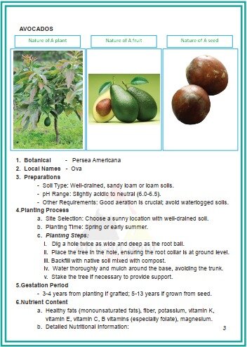 OVACADO FRUIT