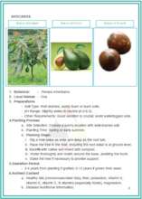 OVACADO FRUIT
