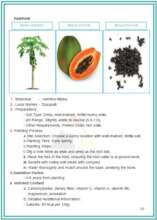 PAWPAW FRUIT TREE