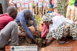 REFORESTATION OF THE KENEDOUGOU SCHOOL OF KATI