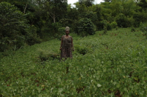 Abwooli standing in her garden