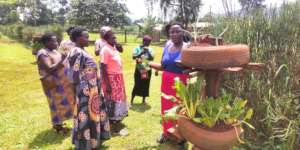 They learnt how to grow vegetables in used tyres