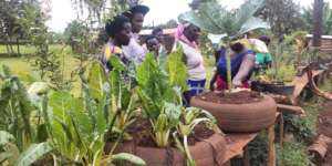 Farmer saw how different vegetables cultivated