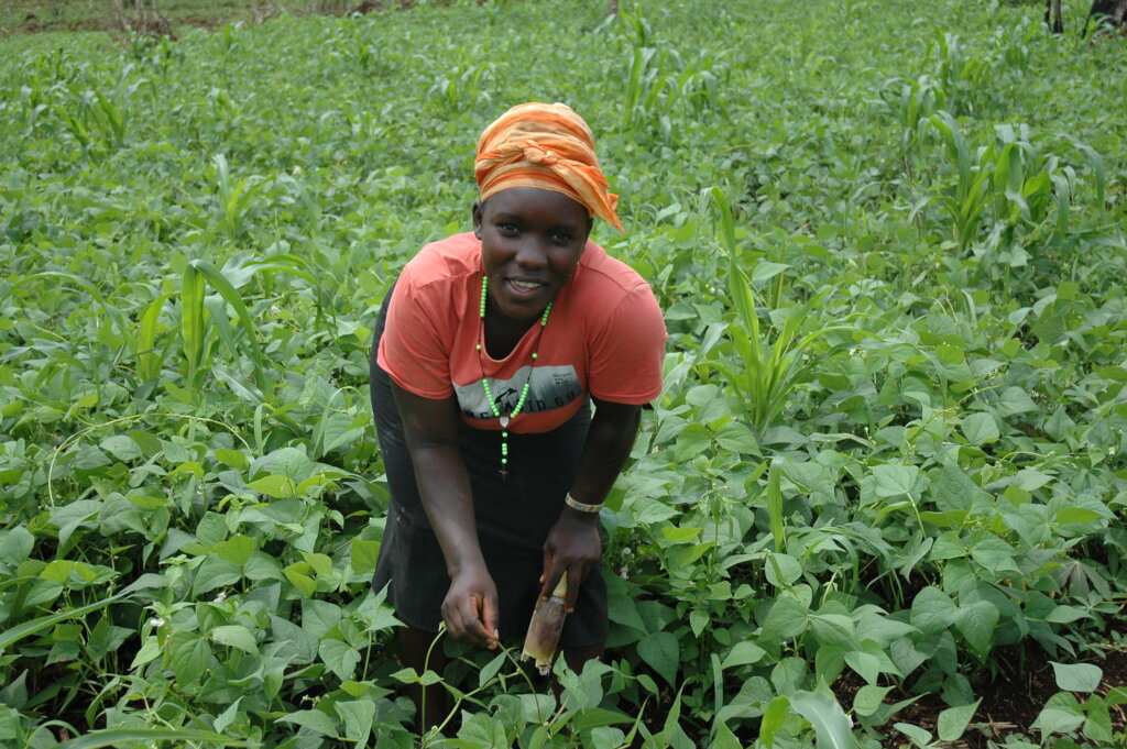 Reducing Food Insecurity through Vegetable Farming